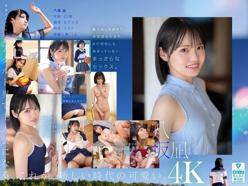 新・新人 這就是嶄新的